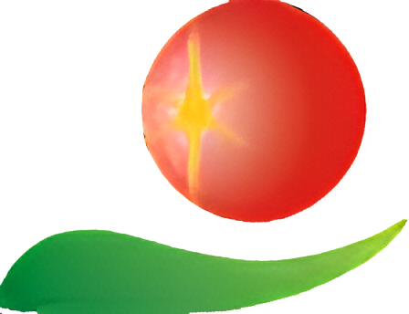 Summit-Tech Resource Corporation logo